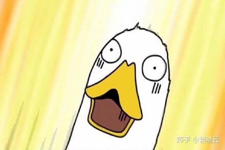 海霸王小哥爆料了吗视频,幕后真相大曝光  第2张