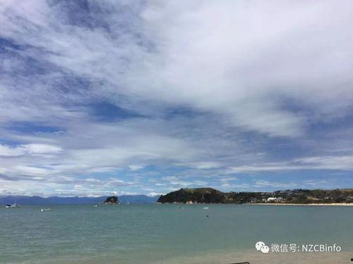 碧海蓝天 在线观看,在线畅享海洋生态之美  第2张