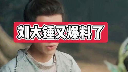 刘大锤今日爆料最新消息,今日热点事件最新进展揭秘  第2张