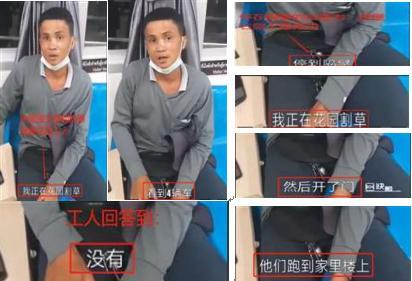 泰国华裔爆料事件视频大全,揭秘背后真相与争议